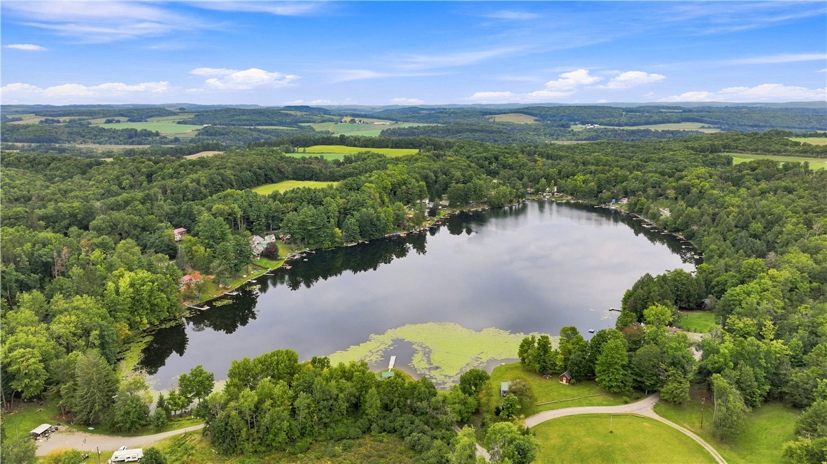 1942 West Shore Road Howard, NY 14810 - Photo 47 of 47 beautiful quiet Lake Demon