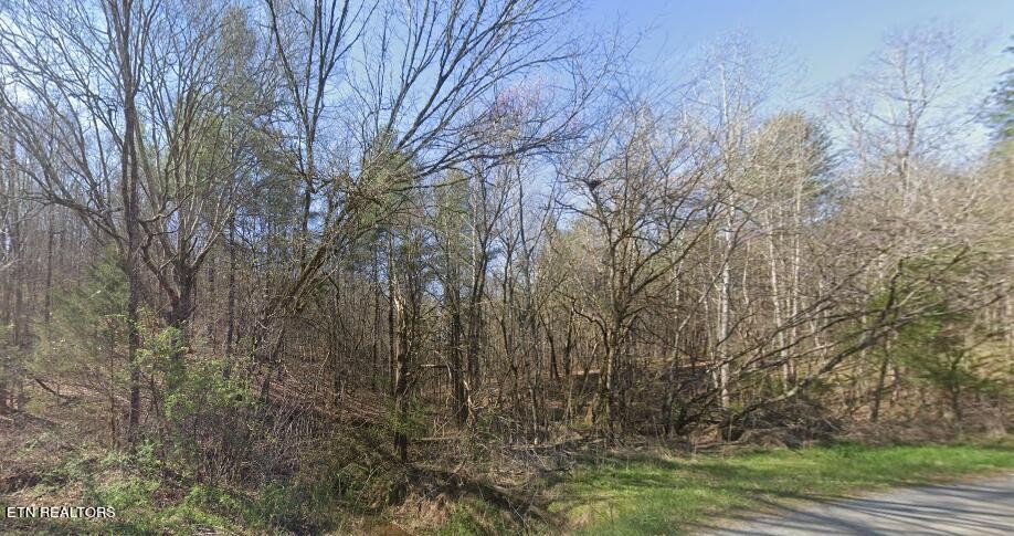 0 Payne Road Tellico Plains, TN 37385 - Photo 7 of 8