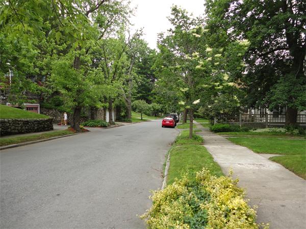 36 Whitman Road Worcester, MA 01609 - Photo 24 of 27 Gallery Image 24