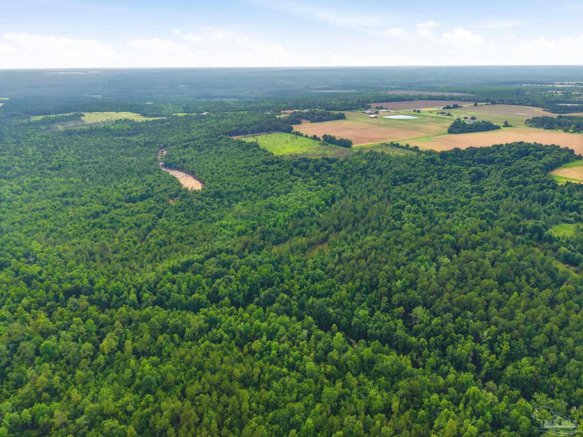 100 Mineral Springs Road Jay, FL 32565 - Photo 9 of 19 a view of a city