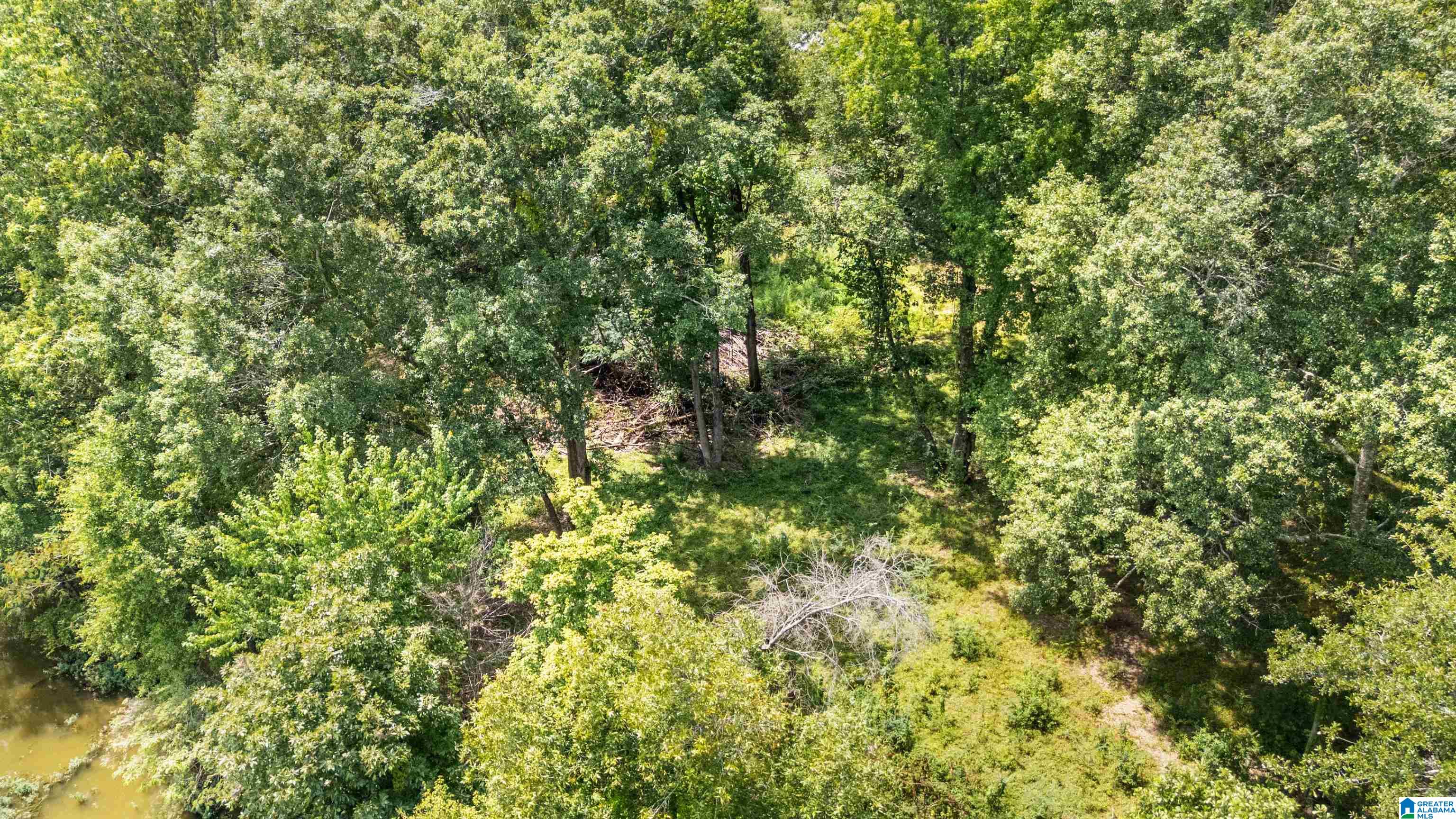 Lot 7 Hebb Road, Unit 7B Wilsonville, AL 35186 - Photo 21 of 22 Gallery Image 21