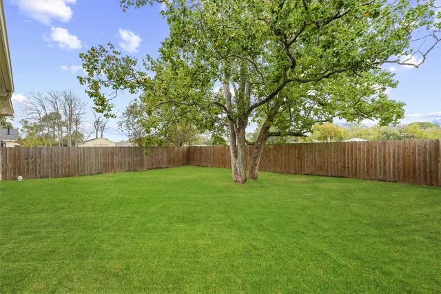 a view of a yard with a tree