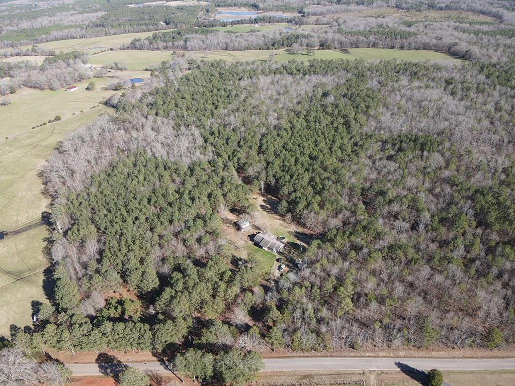 8748 Fruit Hill Road Chappells, SC 29037 - Photo 22 of 25