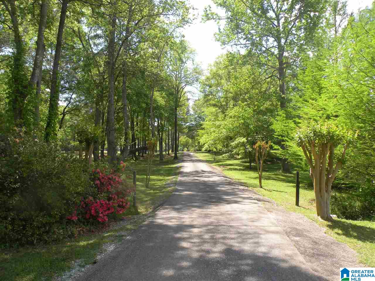 141 River Run Road Childersburg, AL 35044 - Photo 2 of 39