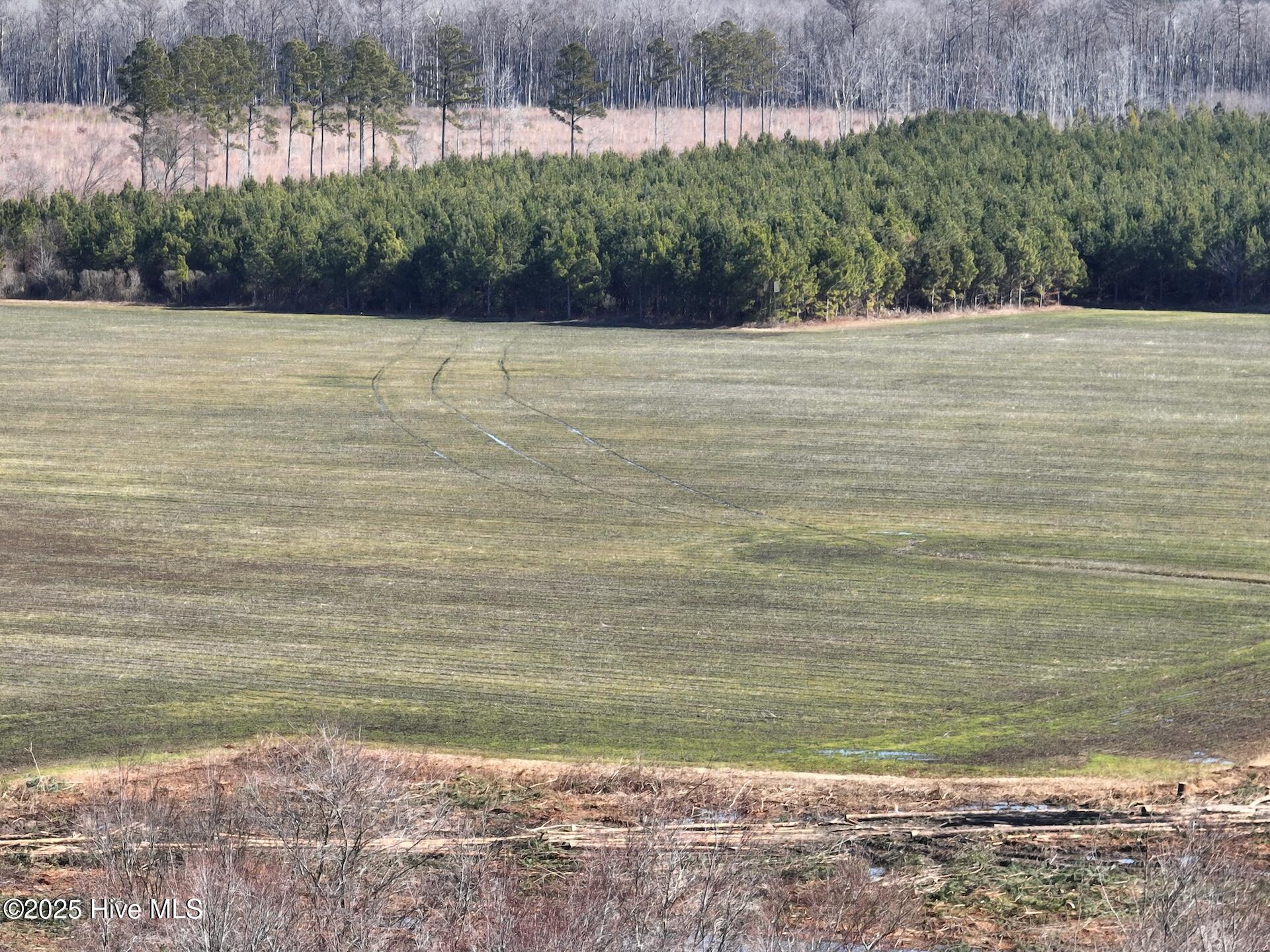 0 Middle Swamp Road Corapeake, NC 27926 - Photo 22 of 46 Gates 235.44 - 9