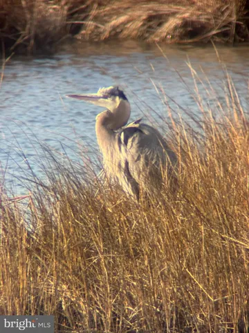 $799,000 | 124 75th Street, Unit 102, Ocean City, MD 21842