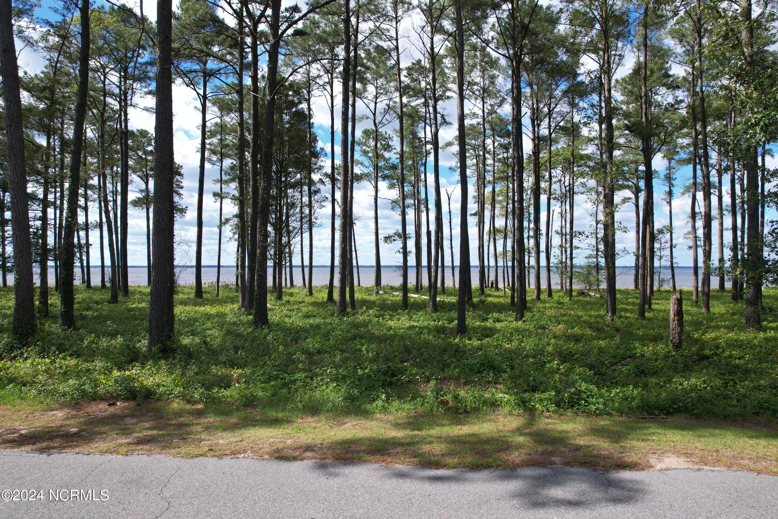 Lot 6 Cedar Shores Road Roper, NC 27970 - Photo 4 of 12 cs13