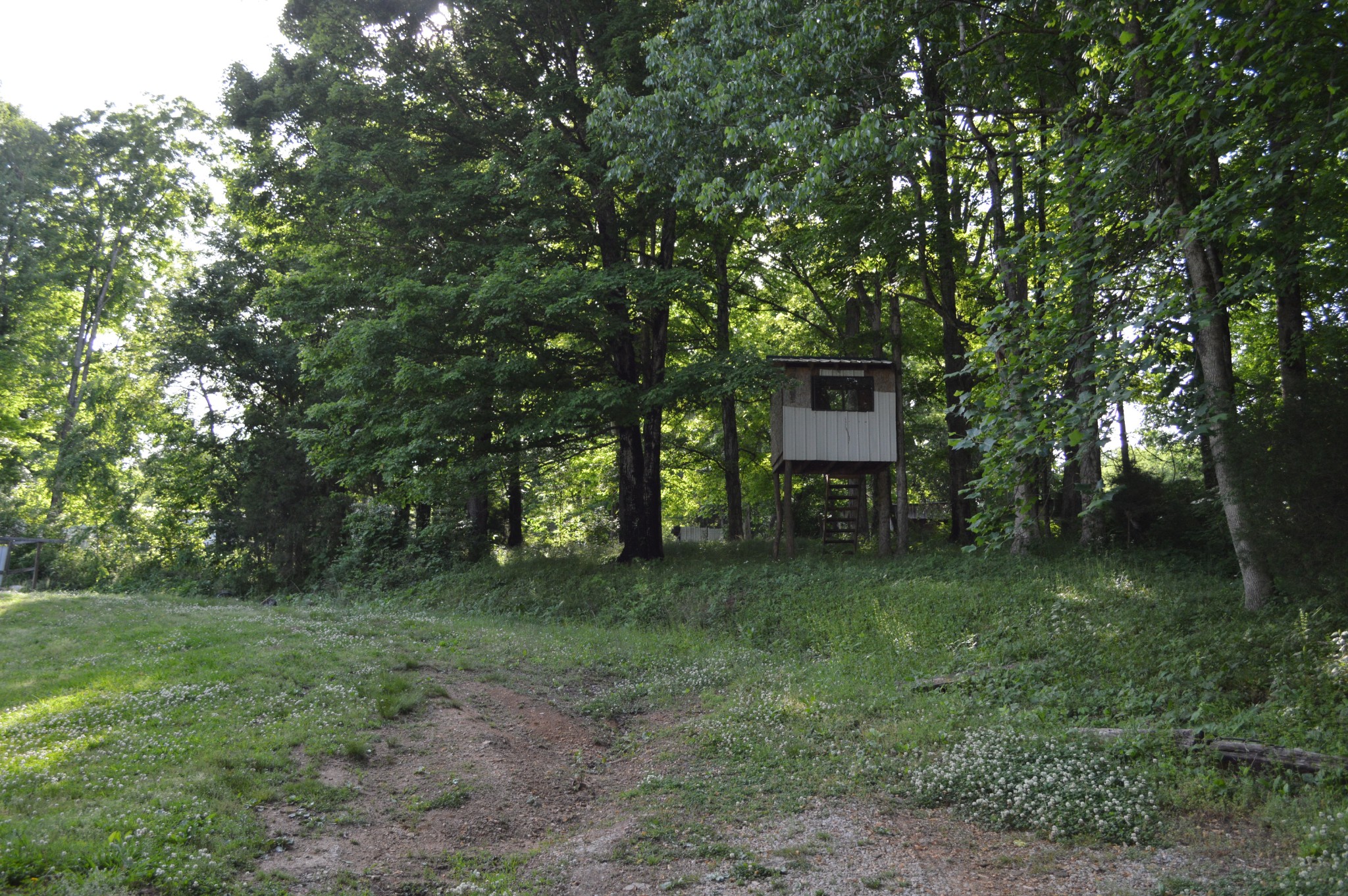 5000 Miller Lake Road Culleoka, TN 38451 - Photo 34 of 50 Gallery Image 34