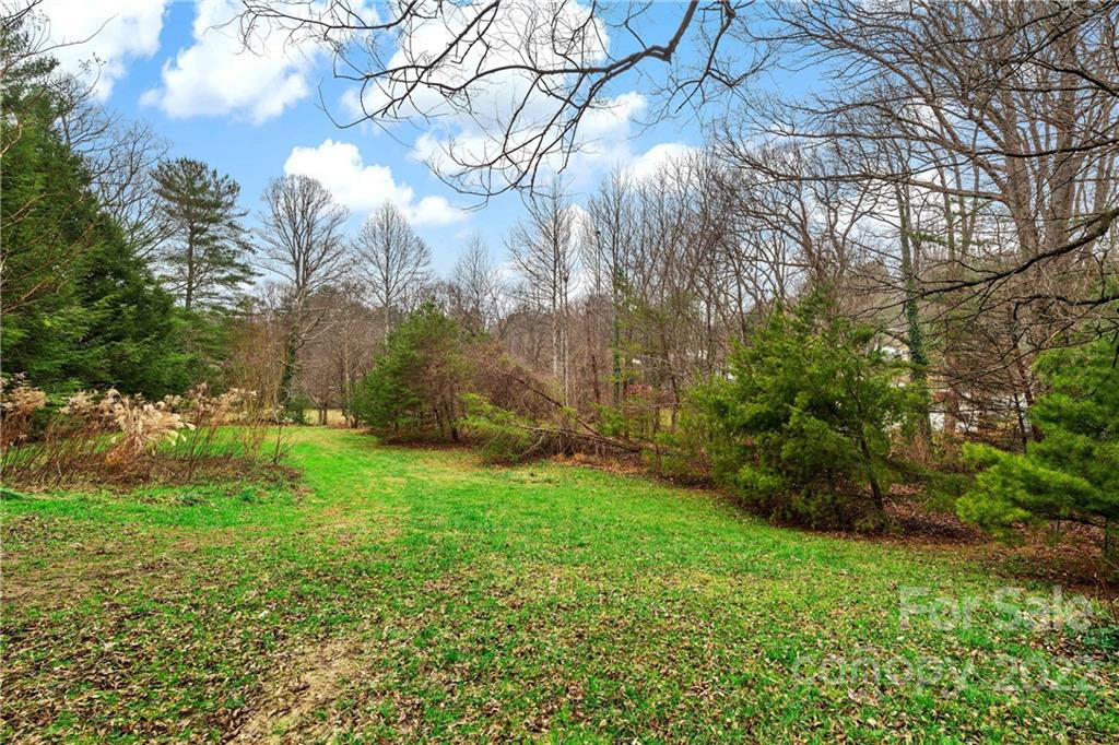 174 A Weston Road Arden, NC 28704 - Photo 31 of 31 a view of backyard with green space