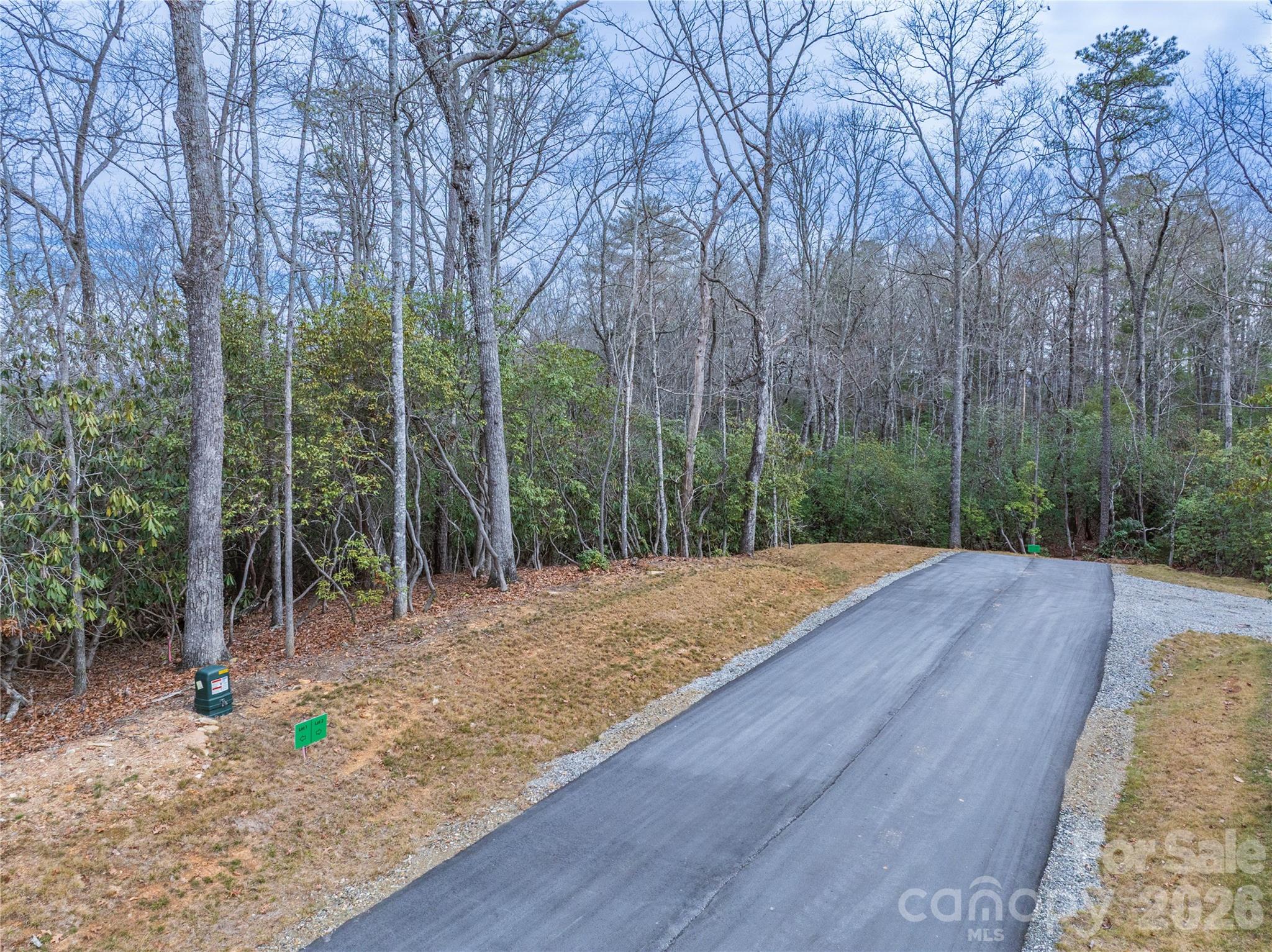 2 Turtle Rdg Trail Mills River, NC 28759 - Photo 3 of 13 a view of a backyard with trees