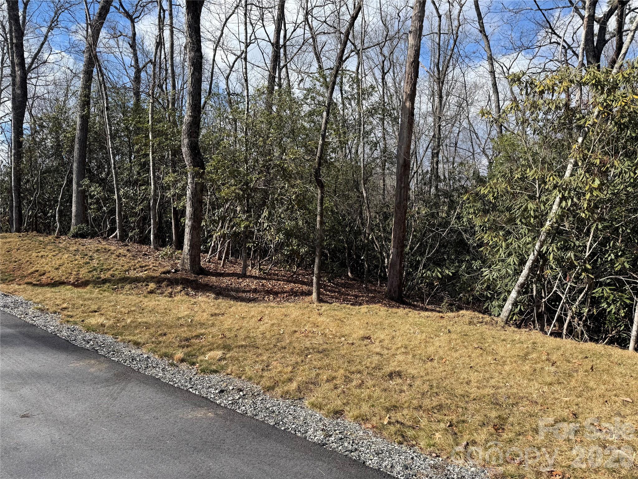 2 Turtle Rdg Trail Mills River, NC 28759 - Photo 5 of 13 a view of a yard covered with snow in front of house