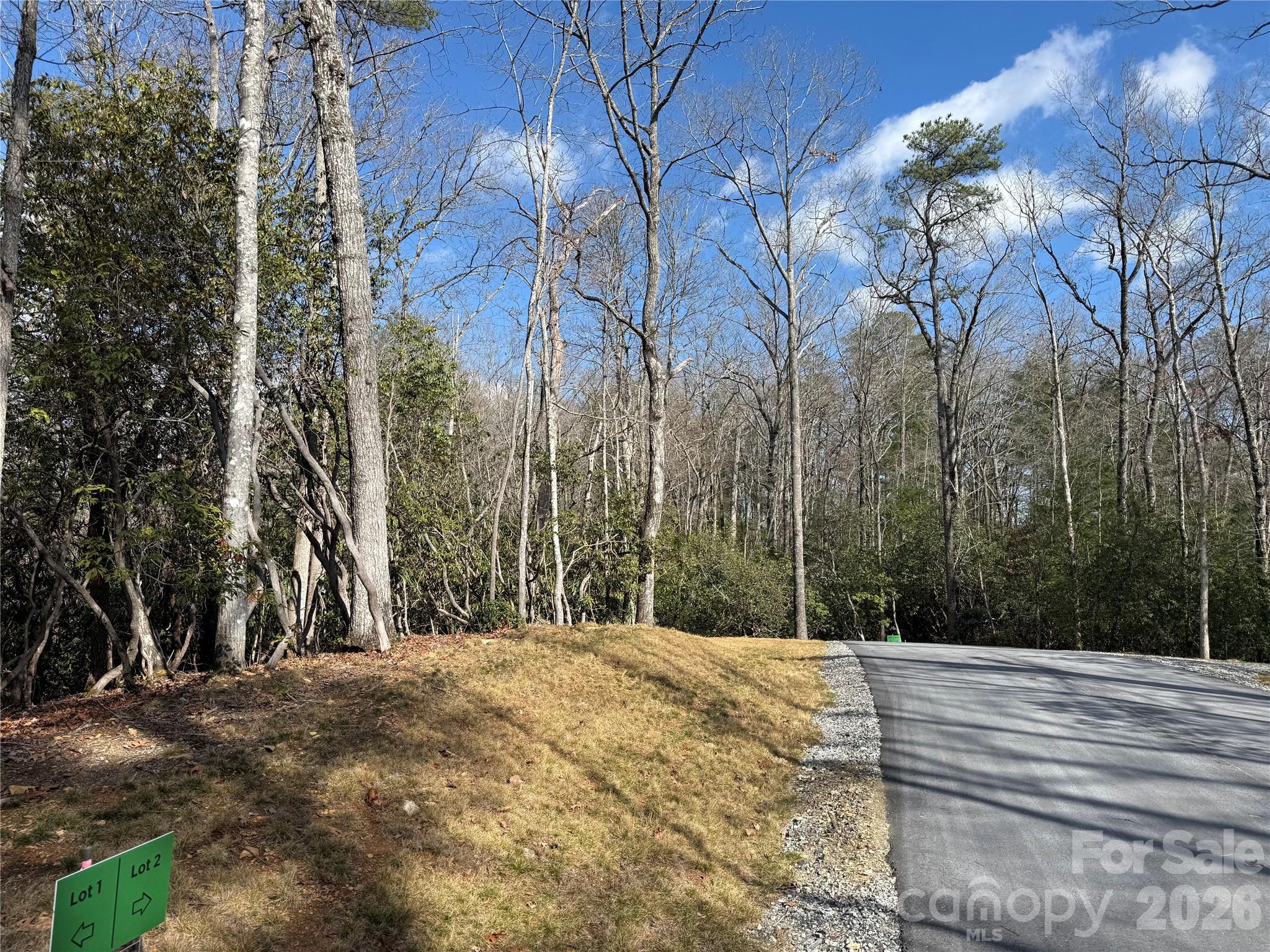 2 Turtle Rdg Trail Mills River, NC 28759 - Photo 6 of 13 a view of a yard with large trees