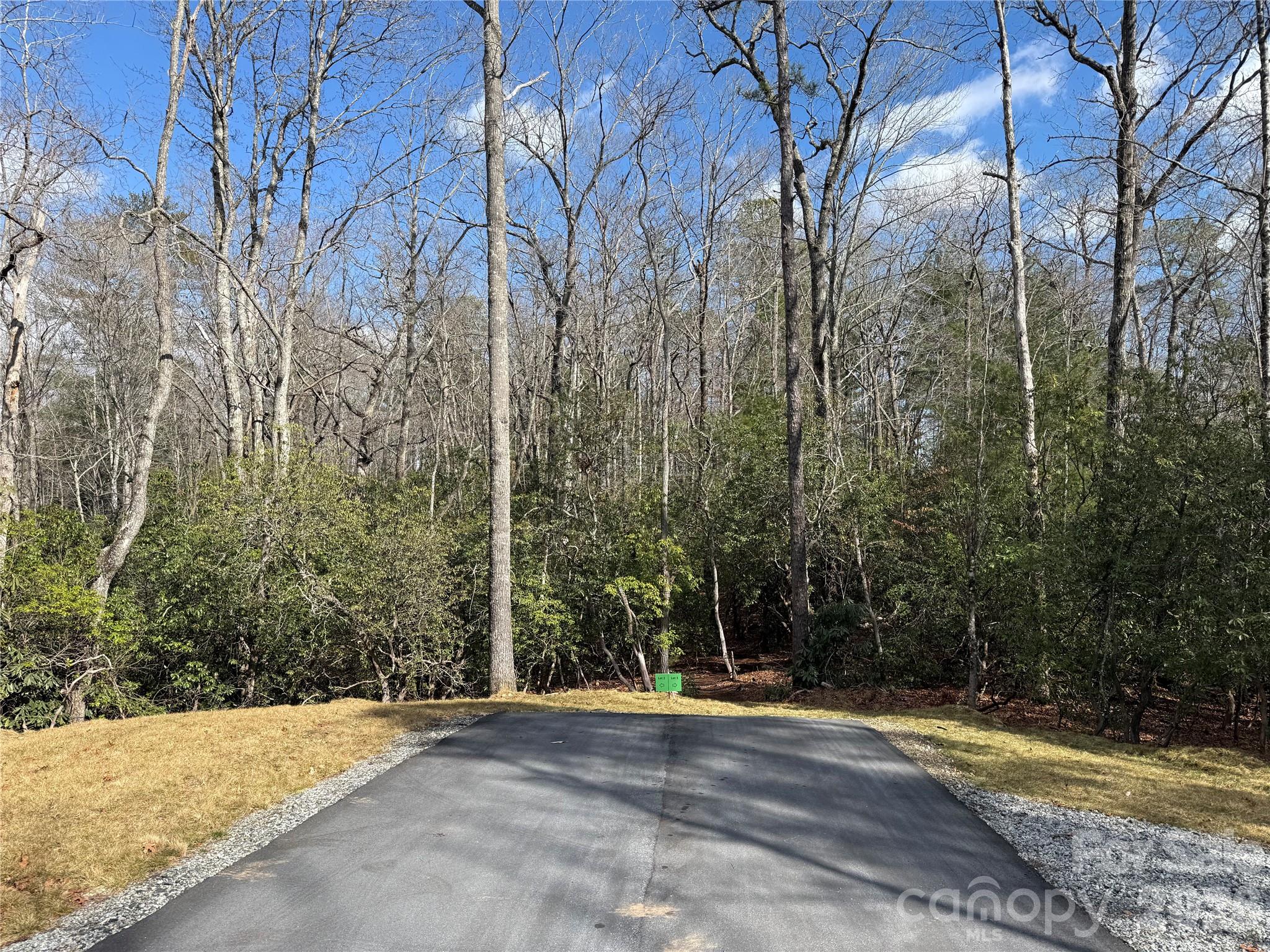 2 Turtle Rdg Trail Mills River, NC 28759 - Photo 7 of 13 a view of a yard with trees
