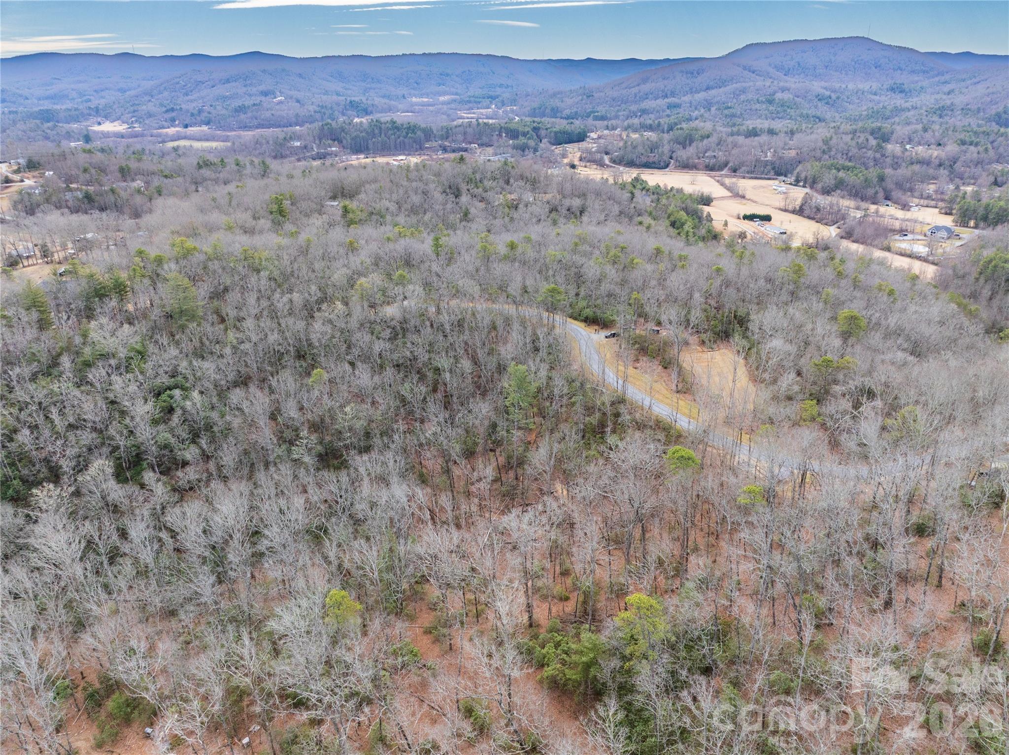 2 Turtle Rdg Trail Mills River, NC 28759 - Photo 10 of 13 a view of mountain and a forest