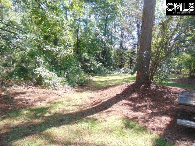 219 Walter Taylor Road Gilbert, SC 29054 - Photo 20 of 27 Gallery Image 20