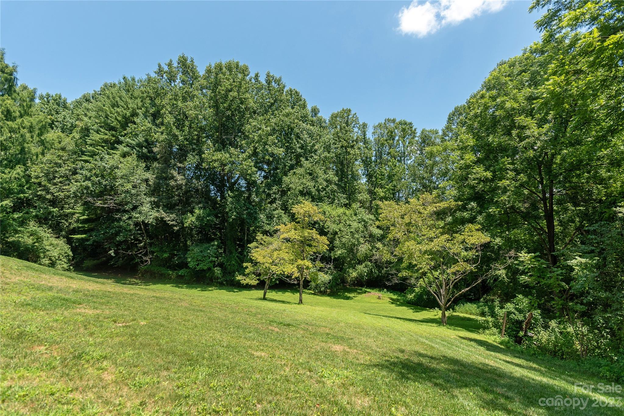 6140 Brevard Road Etowah, NC 28739 - Photo 27 of 29 Gallery Image 27