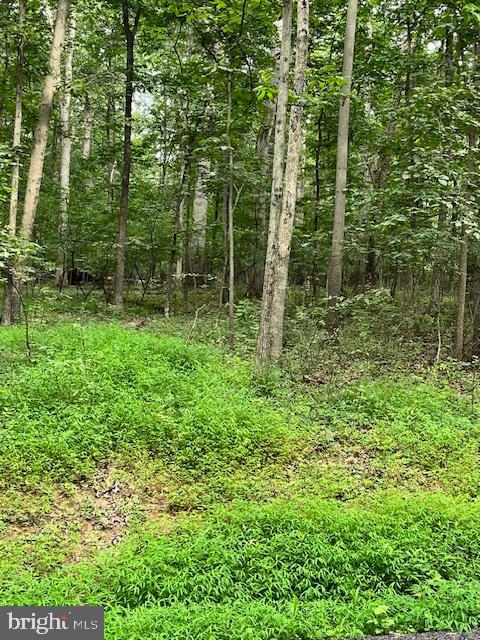Baumgardner Road South Keymar, MD 21757 - Photo 2 of 2 a view of lush green forest