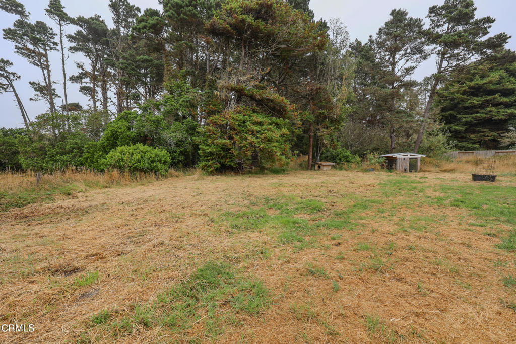 17621 Highway 1 Fort Bragg, CA 95437 - Photo 18 of 23 a view of a yard with a tree