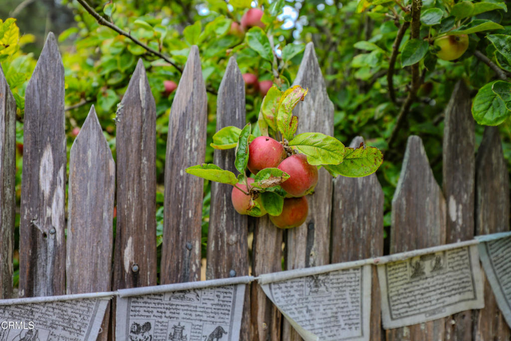 17621 Highway 1 Fort Bragg, CA 95437 - Photo 19 of 23