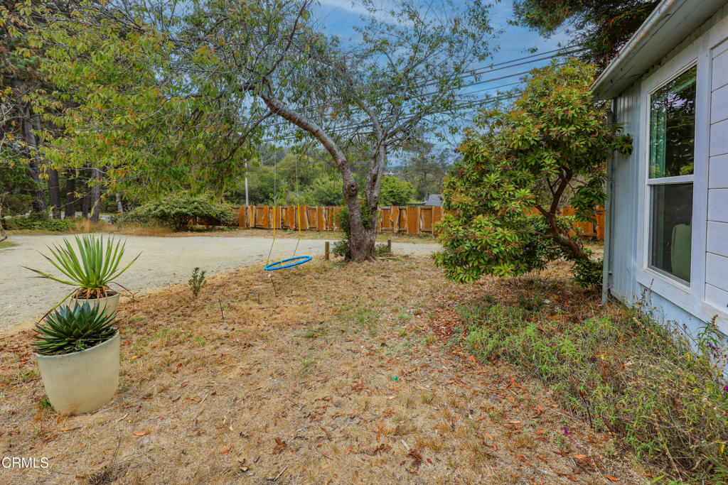 17621 Highway 1 Fort Bragg, CA 95437 - Photo 3 of 23 a view of a backyard with plants and a patio