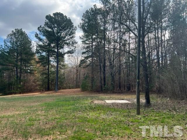 4656 Belltown Road Oxford, NC 27565 - Photo 5 of 24 a backyard of a house with lots of green space