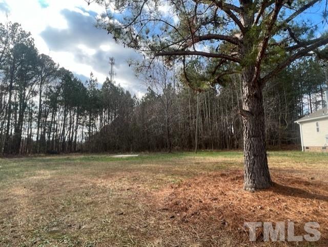 4656 Belltown Road Oxford, NC 27565 - Photo 10 of 24 a view of a yard with trees
