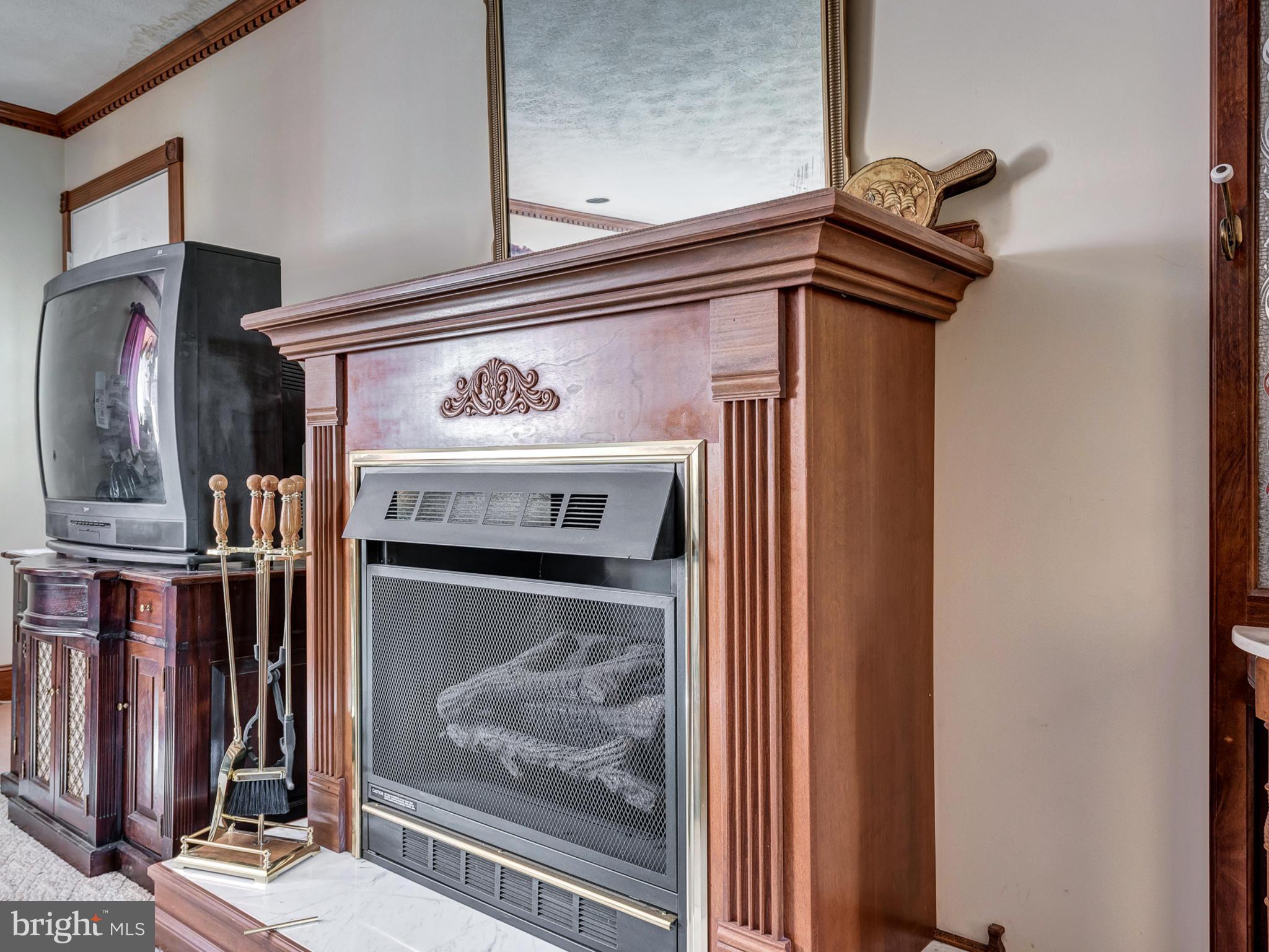 7128 Linganore Road Frederick, MD 21701 - Photo 12 of 30 Beautiful FP in Master Suite!!