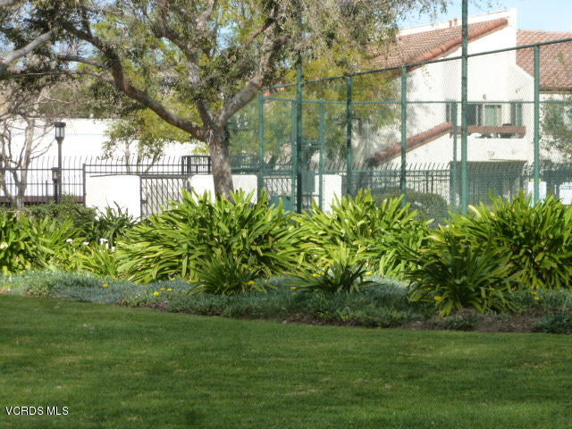 1736 Sinaloa Road, Unit 321 Simi Valley, CA 93065 - Photo 5 of 26 a view of a yard