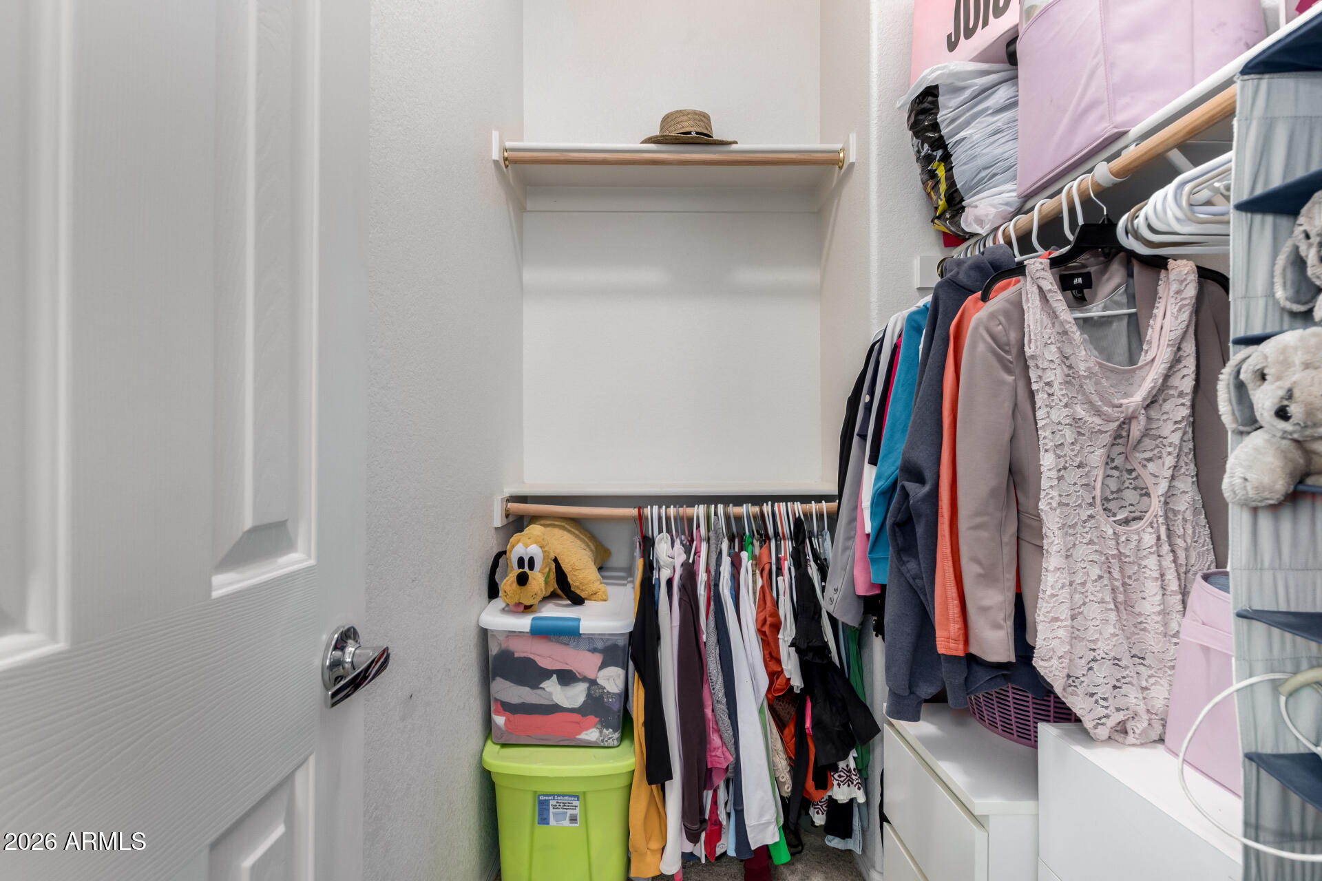 280 South Evergreen Road, Unit 1350 Tempe, AZ 85288 - Photo 24 of 62 a view of walk in closet with clothes and shoes