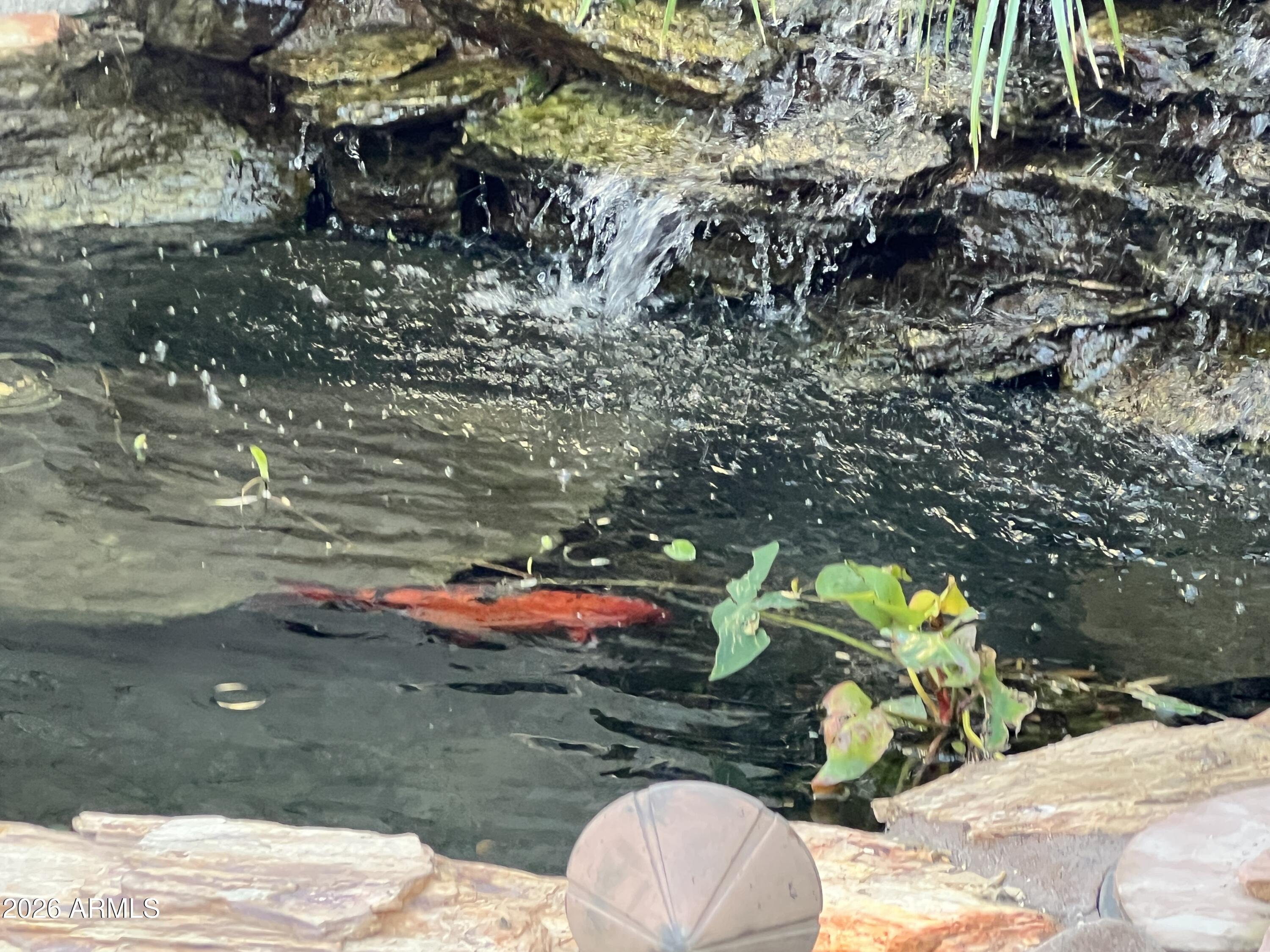 280 South Evergreen Road, Unit 1350 Tempe, AZ 85288 - Photo 58 of 62 IMG_5284