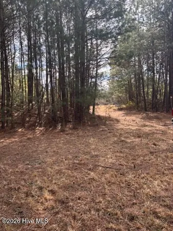 $90,000 | 10-acres Scott Road, Pollocksville, NC 28573