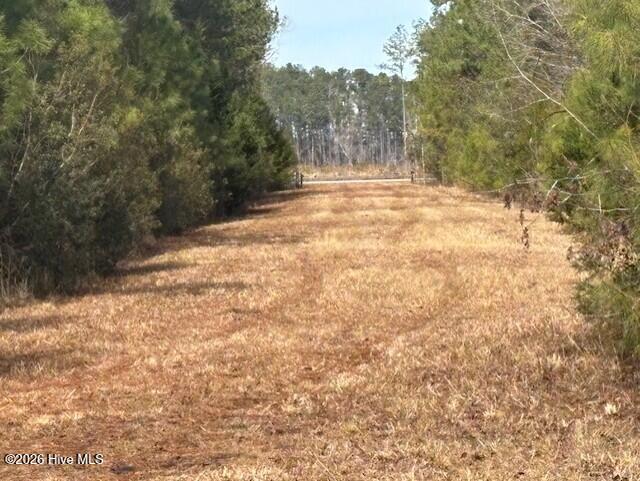 10-acres Scott Road Pollocksville, NC 28573 - Photo 12 of 22 1391d04d-a844-430c-960d-66843cd58c7b