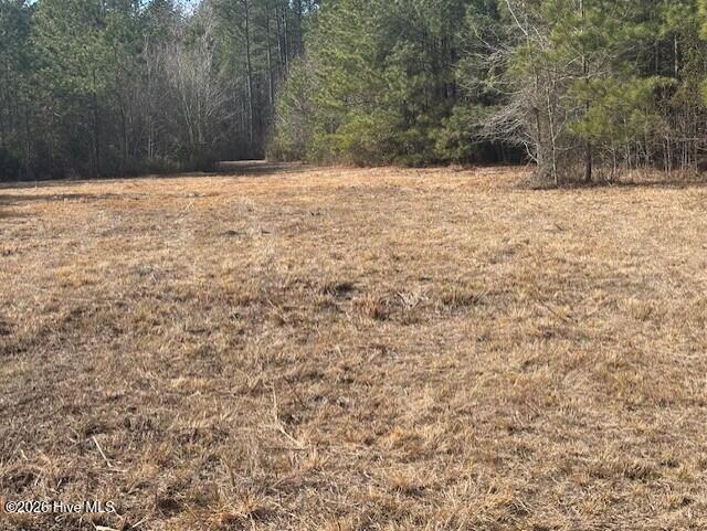 10-acres Scott Road Pollocksville, NC 28573 - Photo 13 of 22 3361fcfa-1051-4436-9a57-2c691edbe174