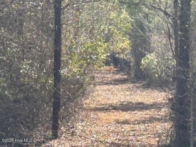10-acres Scott Road Pollocksville, NC 28573 - Photo 16 of 22 a88b0a69-e519-4178-9c7e-50f08e390239