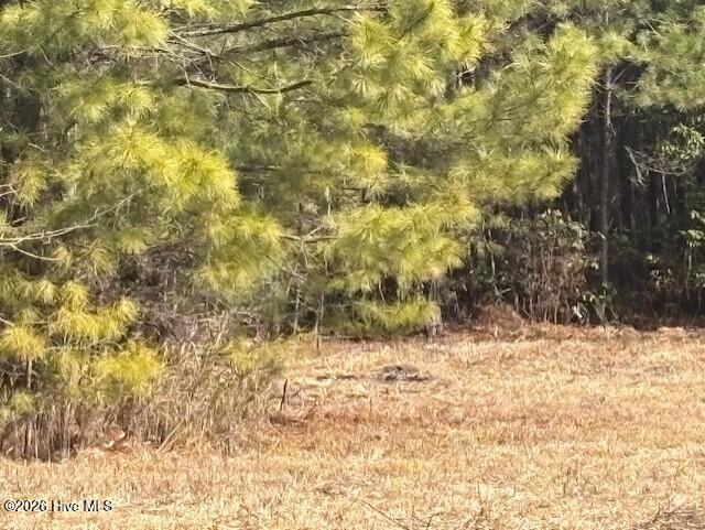 10-acres Scott Road Pollocksville, NC 28573 - Photo 17 of 22 a0277252-c25c-44a4-8be0-6fc1fbaafbbd