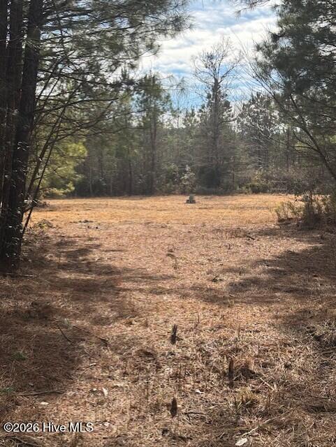 10-acres Scott Road Pollocksville, NC 28573 - Photo 18 of 22 b8a28c69-ac7f-4c21-af51-0a52739226c1