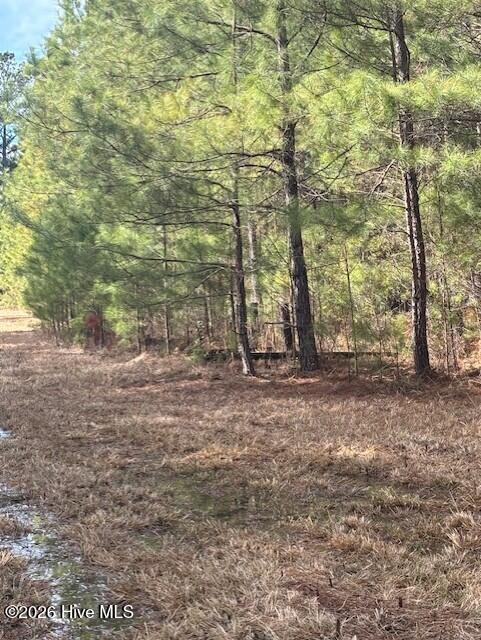 10-acres Scott Road Pollocksville, NC 28573 - Photo 19 of 22 b074ebde-a798-4971-a521-c1d67dfe7ddf