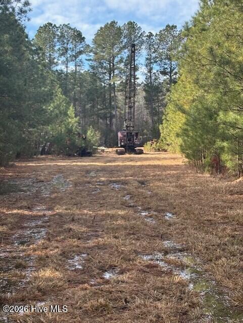 10-acres Scott Road Pollocksville, NC 28573 - Photo 20 of 22 c8de20ce-7cb2-4ef2-9269-340ec3ae4c02