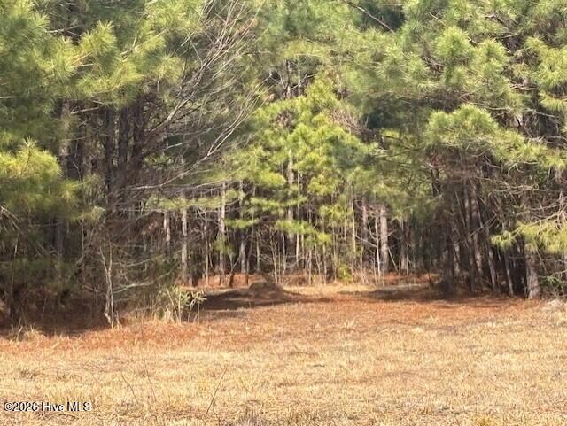 10-acres Scott Road Pollocksville, NC 28573 - Photo 4 of 22 3e9b1509-529f-4bb2-8663-33bab1ac43c8