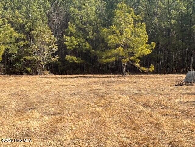10-acres Scott Road Pollocksville, NC 28573 - Photo 5 of 22 7d4c3640-4767-4fef-829e-cfc9729f5b79