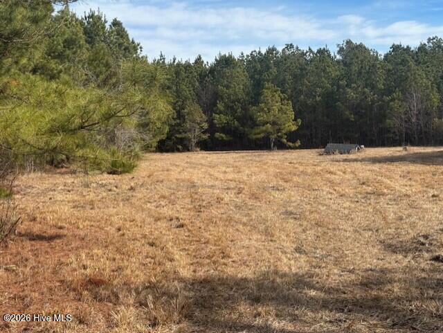 10-acres Scott Road Pollocksville, NC 28573 - Photo 6 of 22 9b2249df-3cbc-4c20-803f-c9f58808d6eb