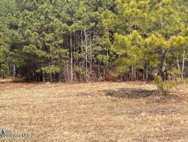 10-acres Scott Road Pollocksville, NC 28573 - Photo 8 of 22 43ff622a-1f96-4e75-b9f0-384c57bf248b