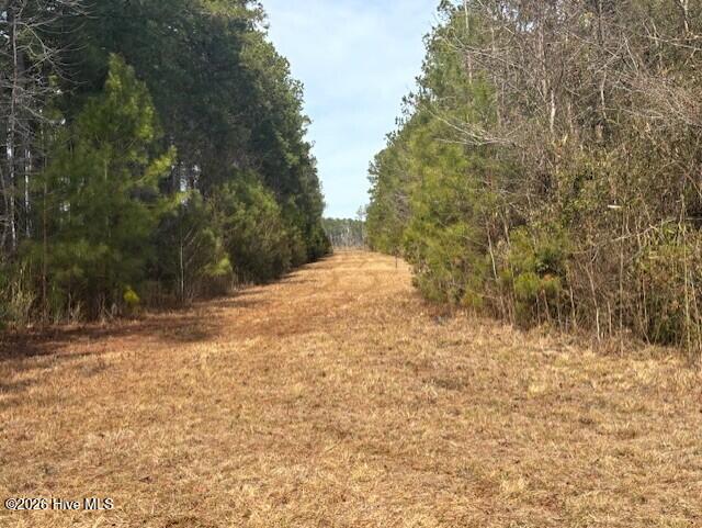 10-acres Scott Road Pollocksville, NC 28573 - Photo 10 of 22 520a48e3-3692-48aa-b6ef-0cf7ad245c49