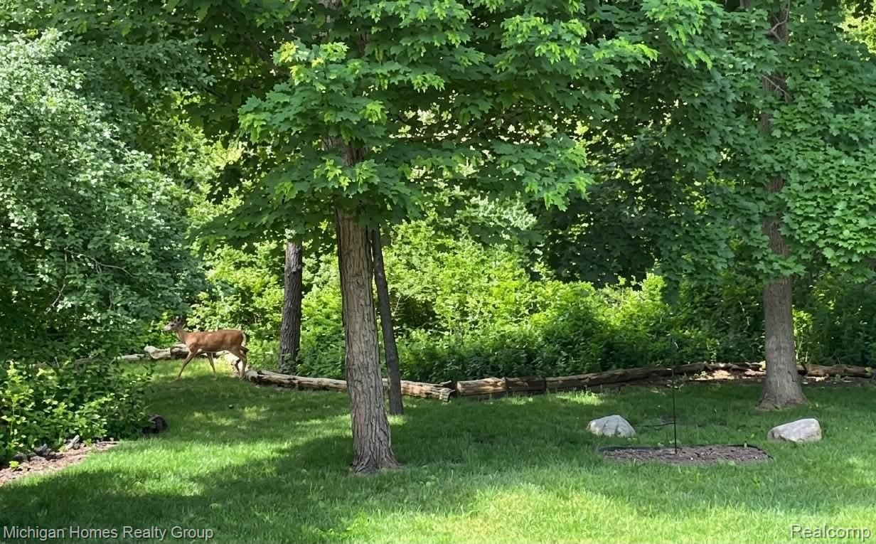 1437 Lantern Lane Rochester, MI 48306 - Photo 30 of 31 image deer.jpg