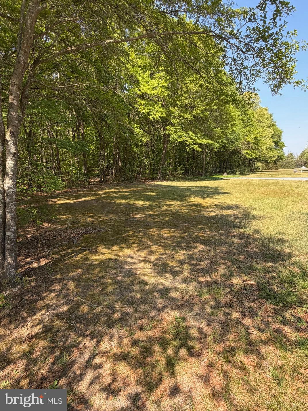 15 Newton Road Preston, MD 21655 - Photo 12 of 20