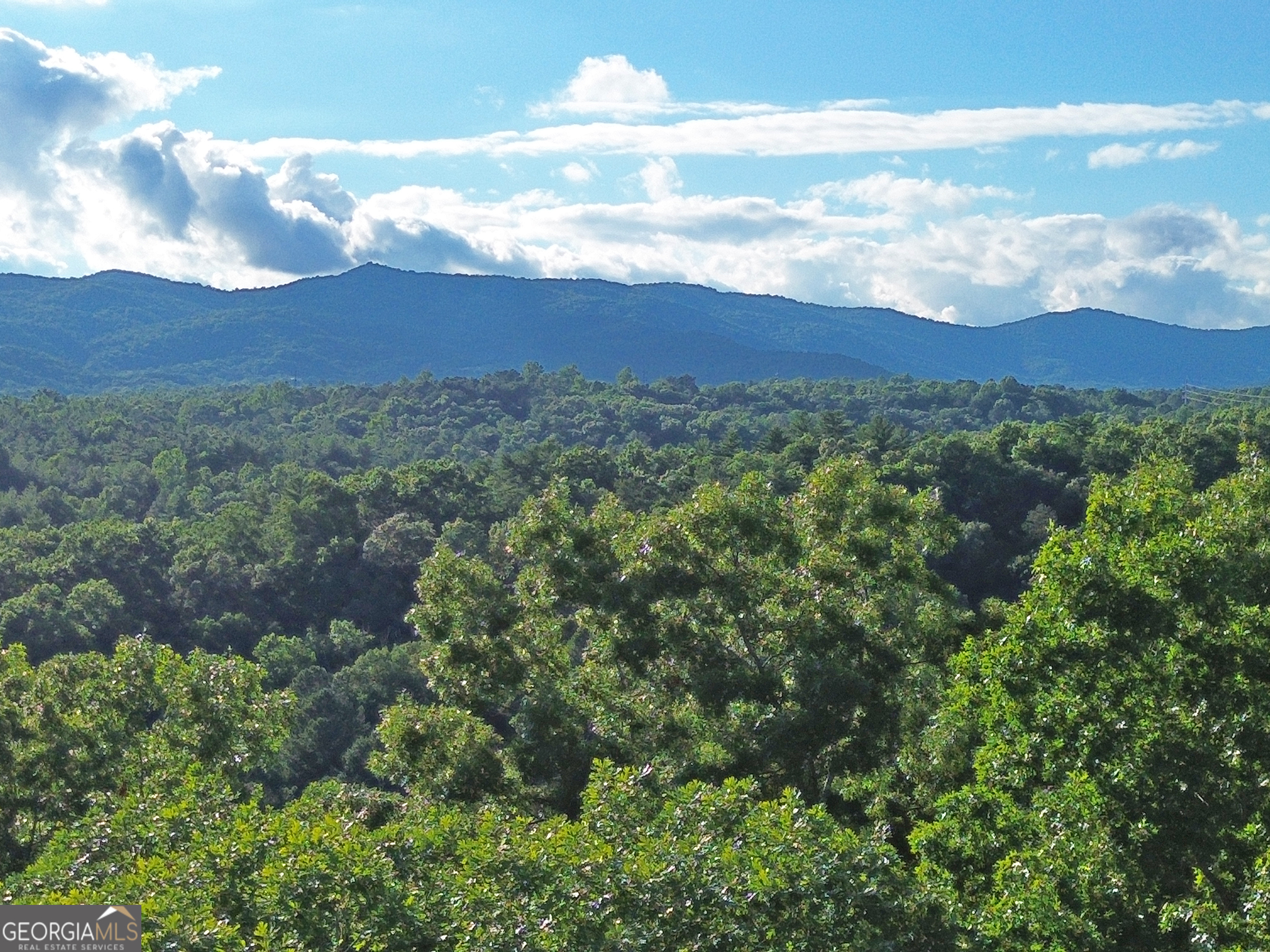 Lot 18 Mt Springer Road Ellijay, GA 30540 - Photo 21 of 31