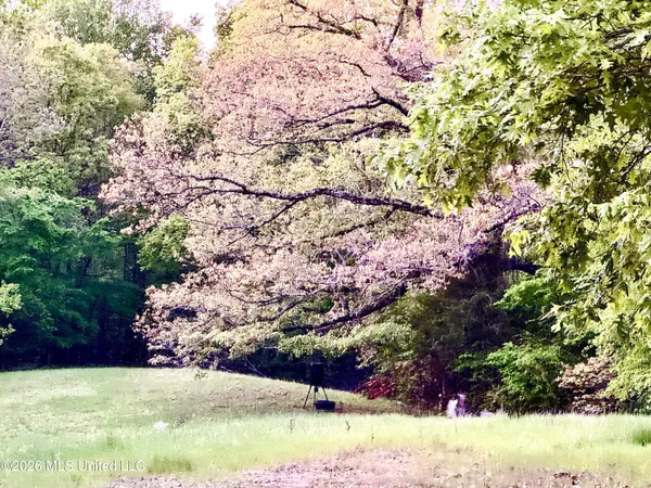 $535,000 | 1250 Friendship E Road, Charleston, MS 38921