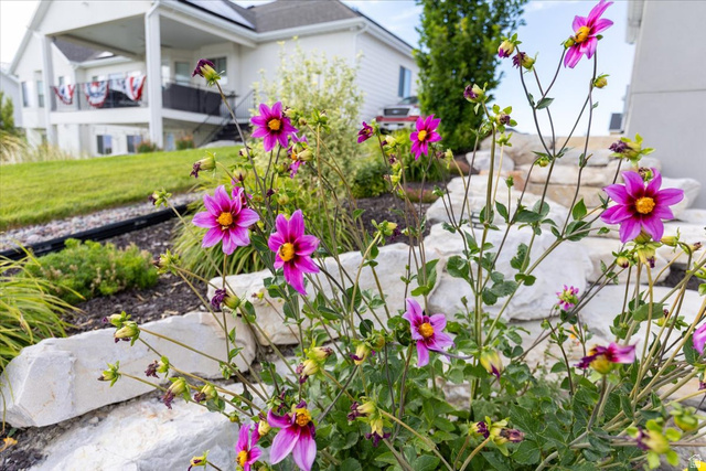 21 Pier Place Tooele, UT 84074 - Photo 111 of 112 Landscaped backyard featuring vibrant flowering plants and natural stone retaining walls