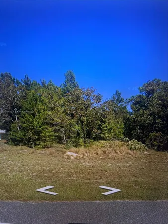 a view of a yard with a house