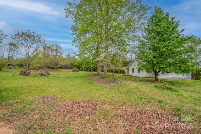 a view of yard with tree and green space